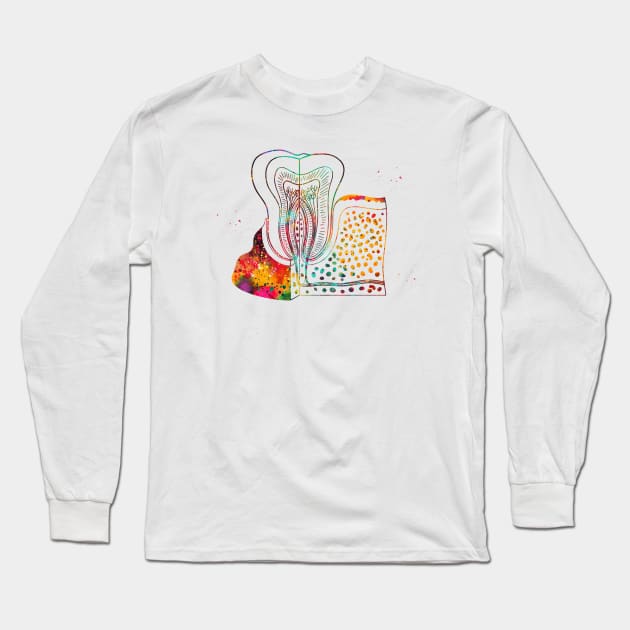 Tooth anatomy Long Sleeve T-Shirt by erzebeth